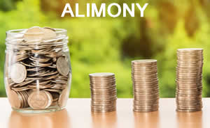 Orlando Attorney Helps With Alimony Claims