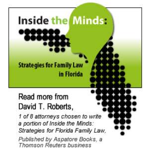 Inside the Minds: Strategies for Family Law in Florida