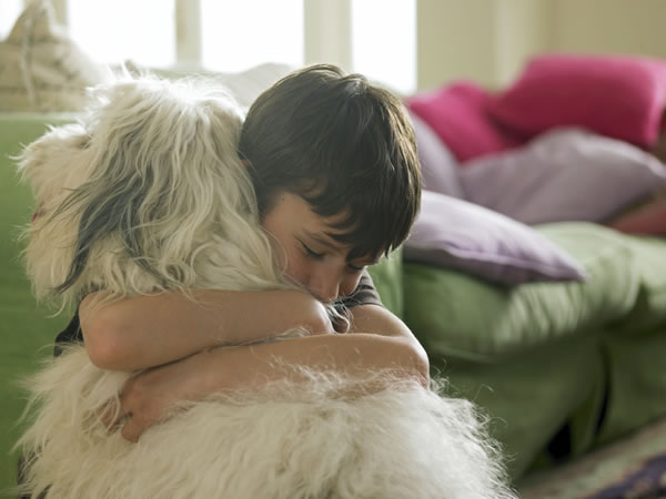 What Happens to Pets in a Divorce?